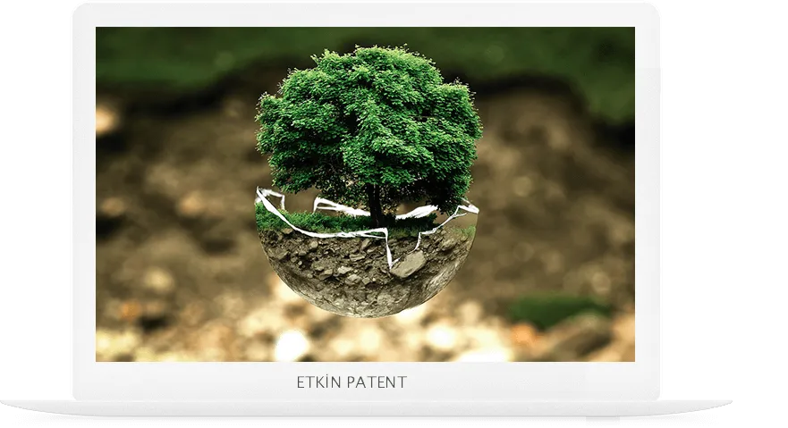 patent on koruma yöntemleri-bakırköy web tasarım